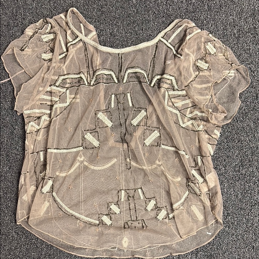 Free People Sheer Embroidered Top in Beige and Gray